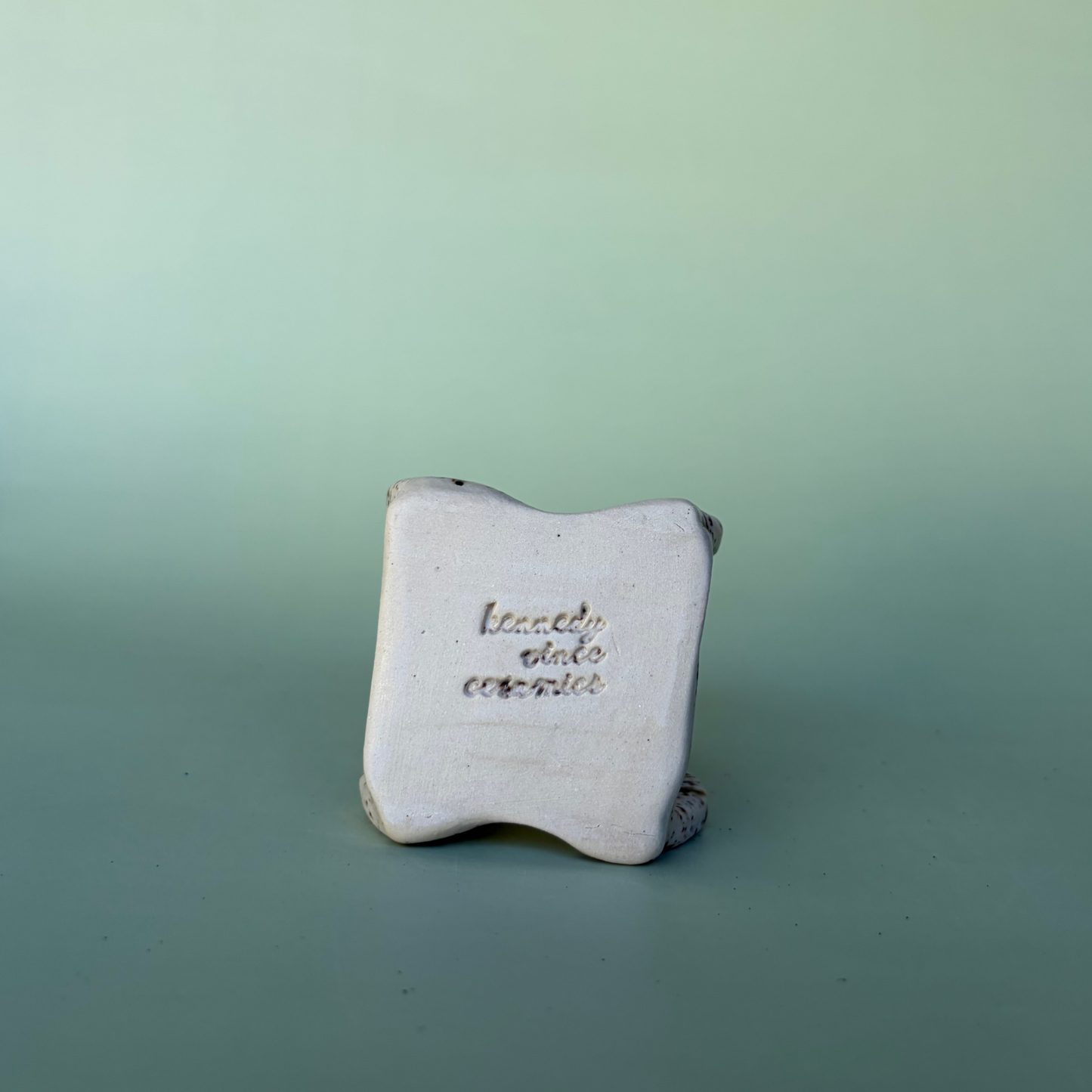 Wavy Sponge Holder in Appaloosa (1)