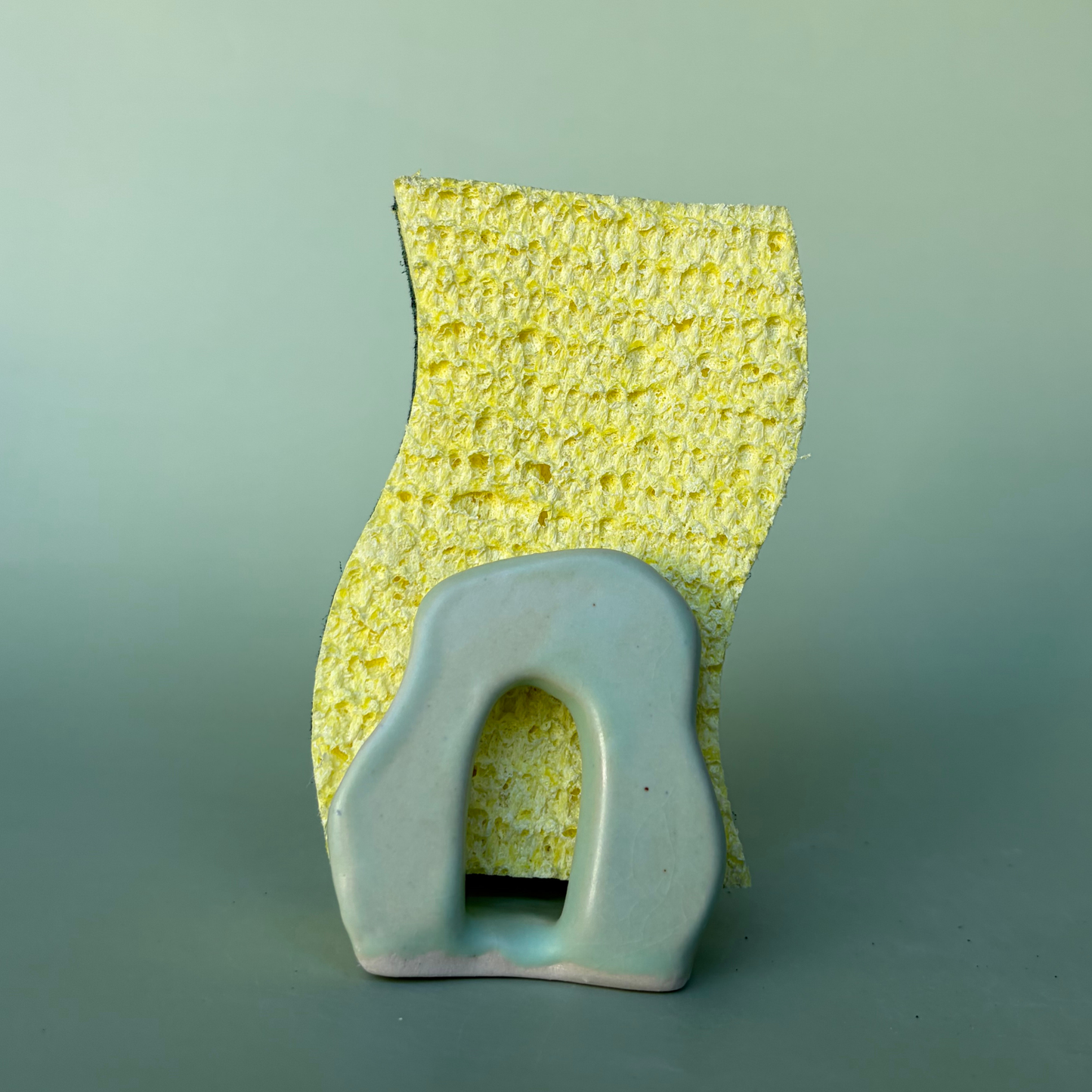 Wavy Sponge Holder in Lichen (1)