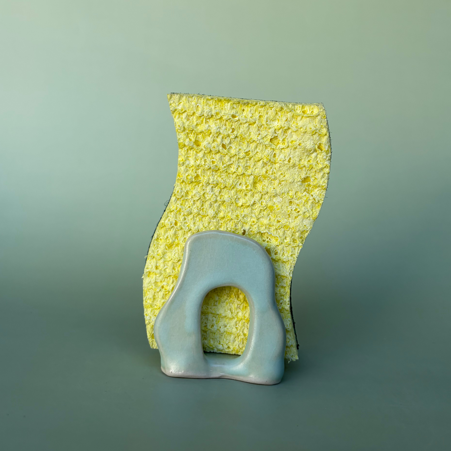 Wavy Sponge Holder in Lichen (2)