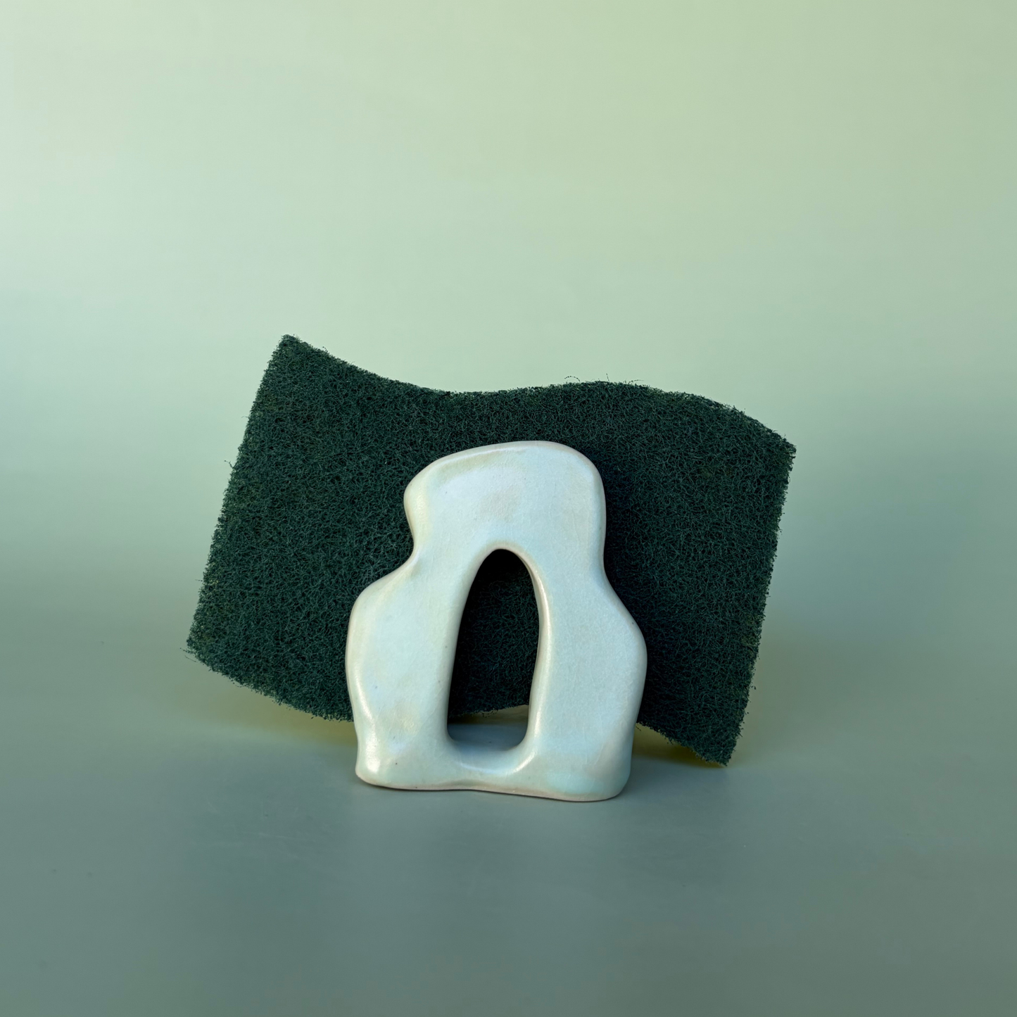 Wavy Sponge Holder in Lichen (2)