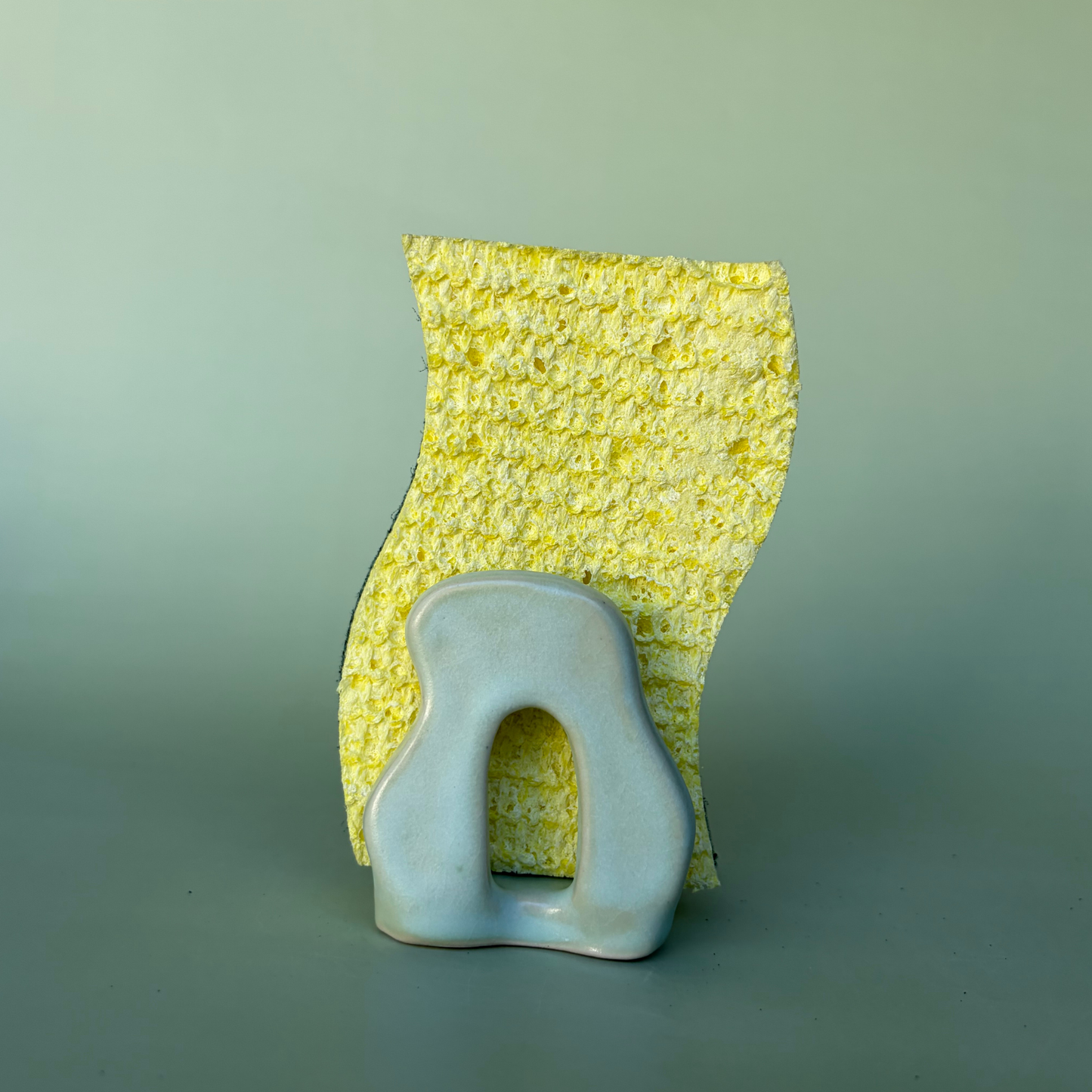 Wavy Sponge Holder in Lichen (3)