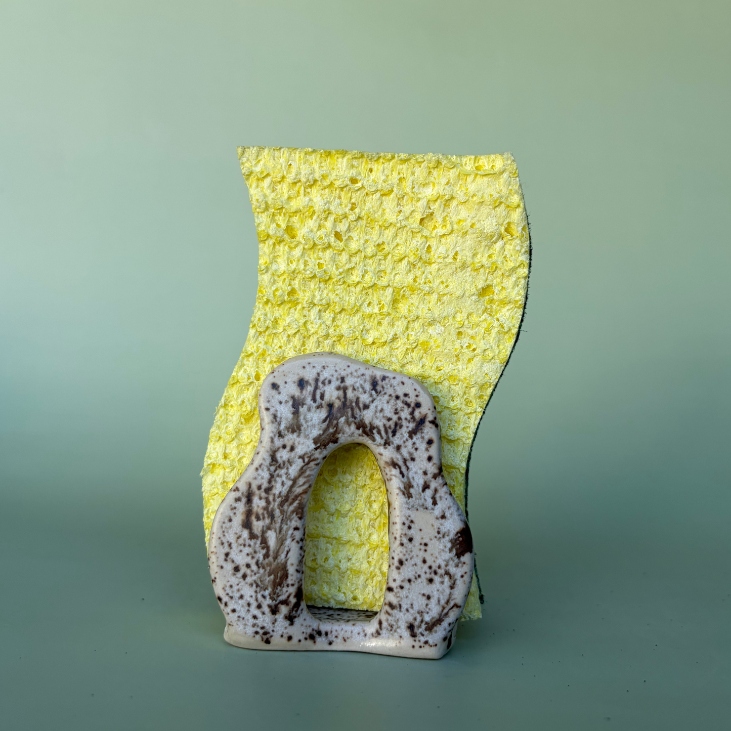 Wavy Sponge Holder in Appaloosa (1)