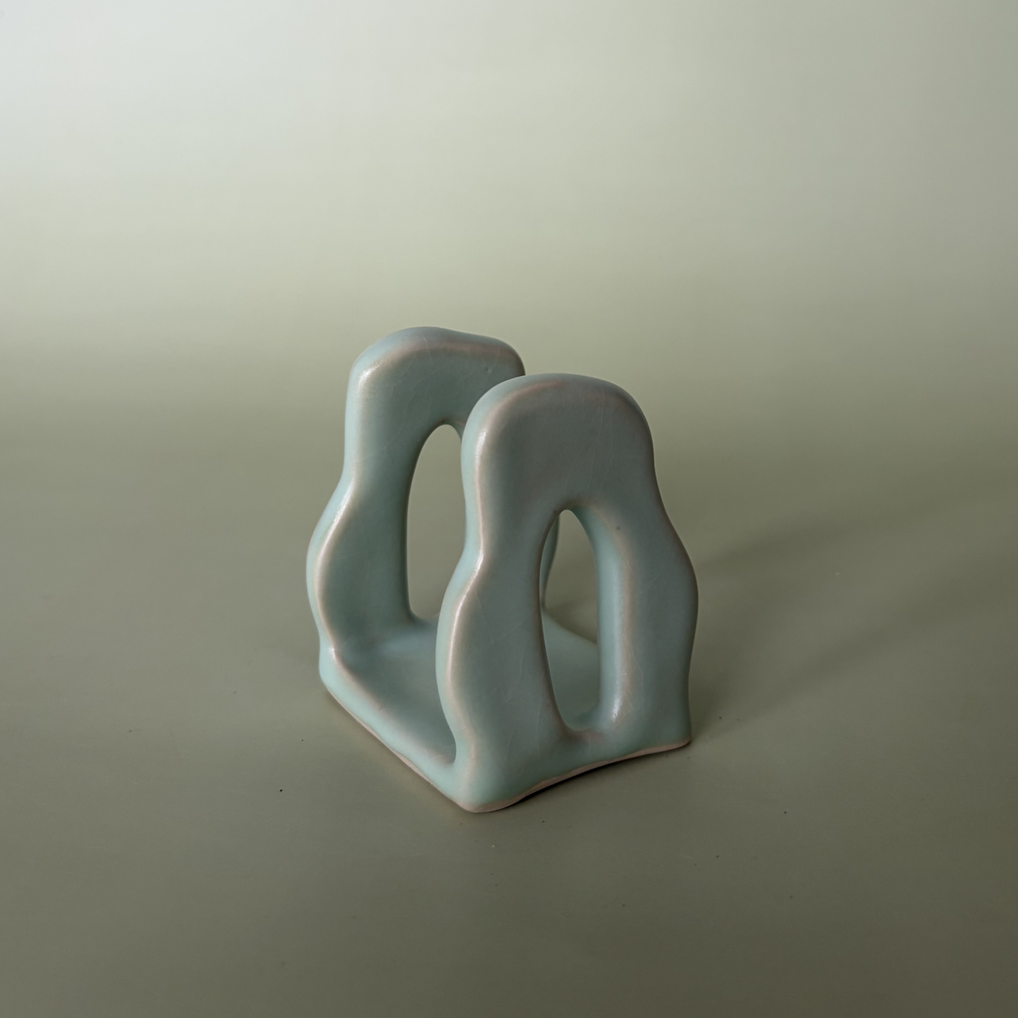 Wavy Sponge Holder in Lichen