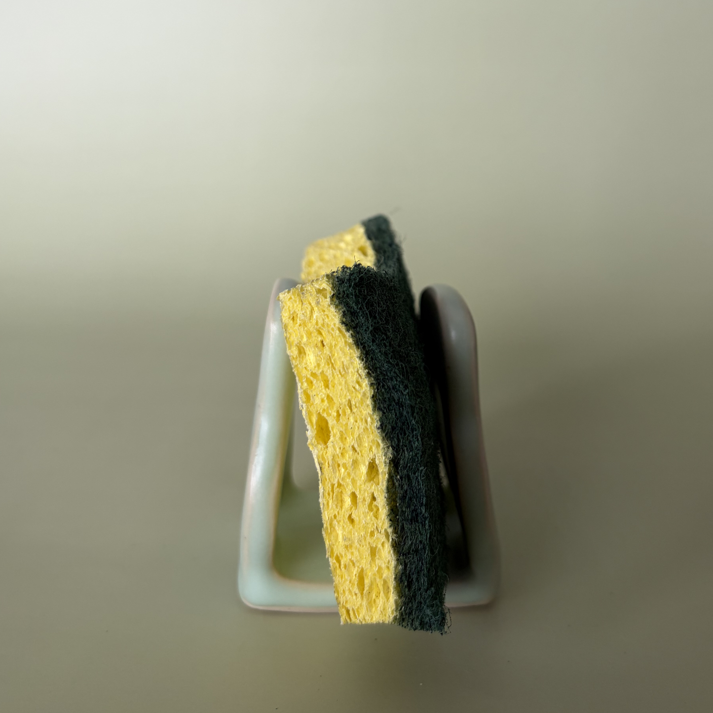Wavy Sponge Holder in Lichen