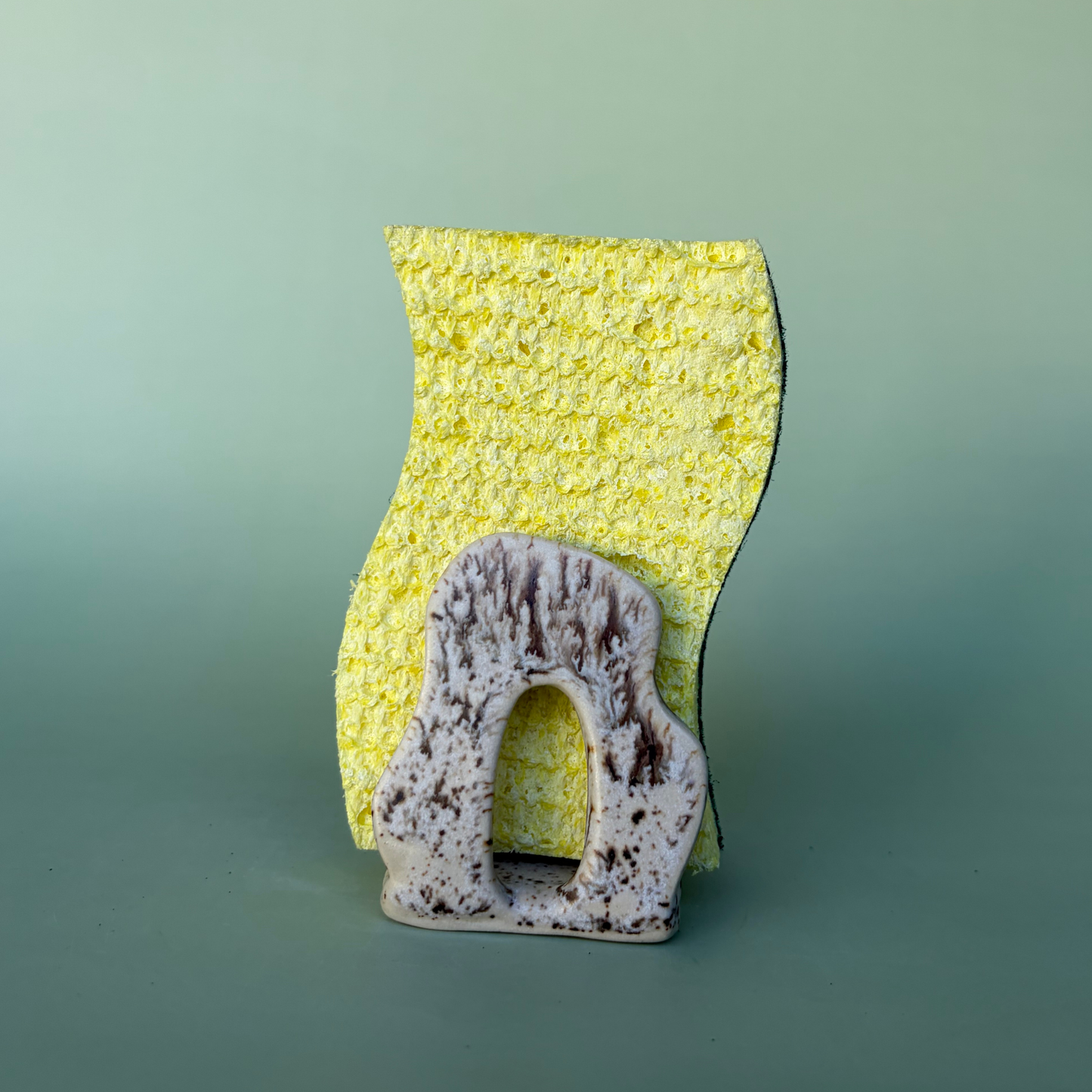 Wavy Sponge Holder in Appaloosa (2)