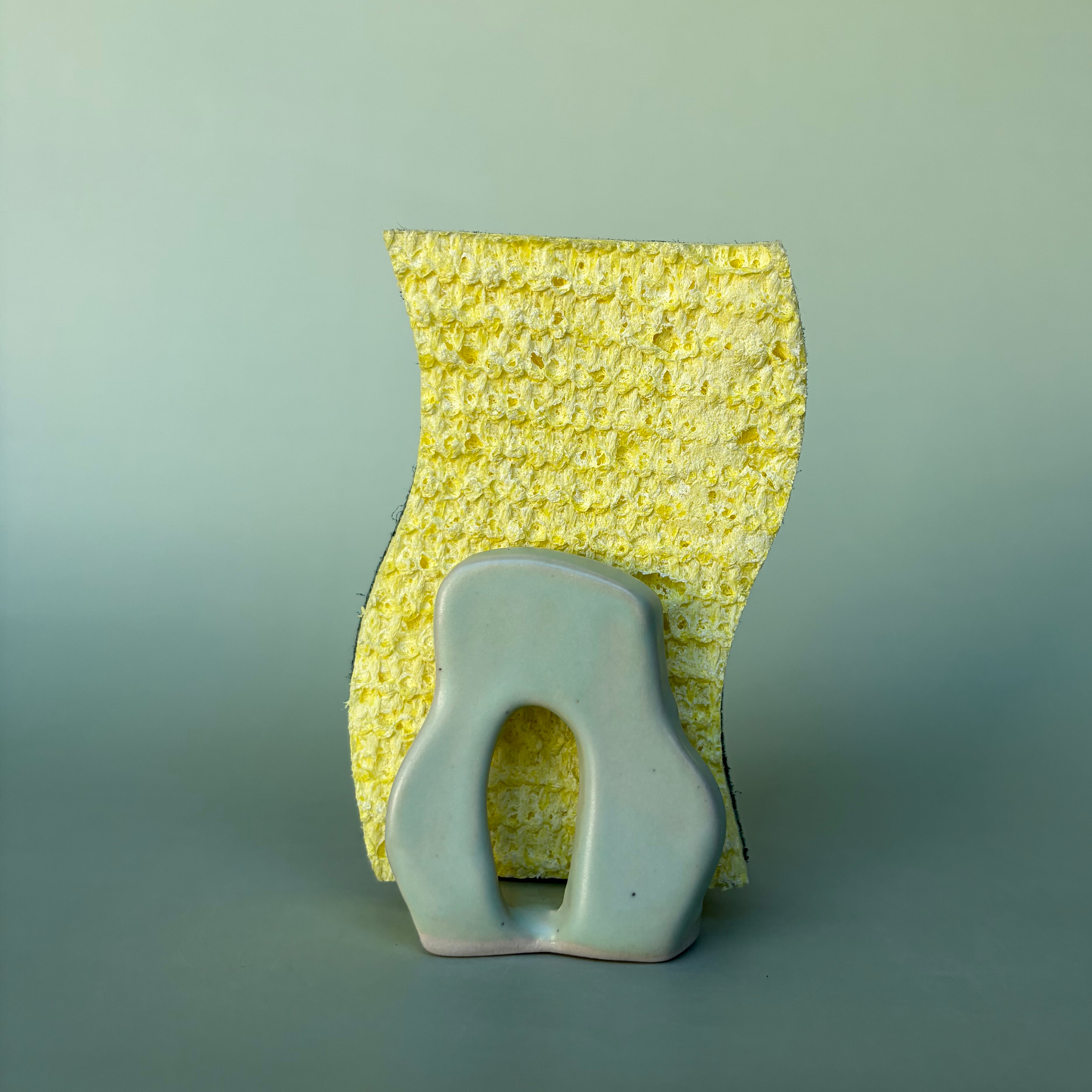 Wavy Sponge Holder in Lichen (4)