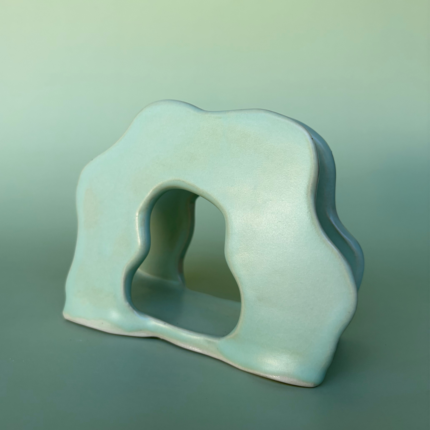 Wavy Napkin Holder in Lichen (1)